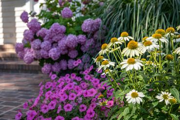 Artist and landscape designer Jan Kirsh in Talbot County, MD - photo by Jill JasutaArtist and landsc