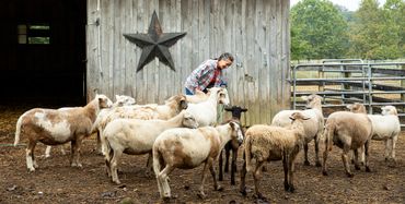 Pop's Old Place Farm on Maryland's Eastern Shore - photo by Jill Jasuta