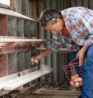 Pop's Old Place Farm on Maryland's Eastern Shore - photo by Jill Jasuta