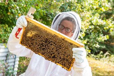 Beekeeper at Pop's Old Place Farm on Maryland's Eastern Shore - photo by Jill Jasuta