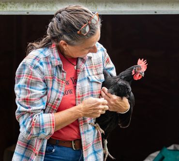 Pop's Old Place Farm on Maryland's Eastern Shore - photo by Jill Jasuta