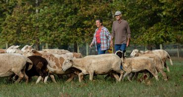 Pop's Old Place Farm on Maryland's Eastern Shore - photo by Jill Jasuta
