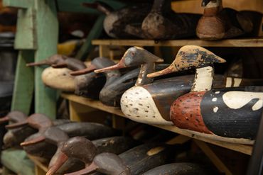Decoy collection on Maryland's Eastern Shore - photo by Jill Jasuta