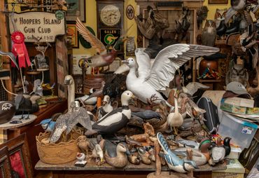 Decoy collection on Maryland's Eastern Shore - photo by Jill Jasuta