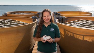 Horn Point Lab Oyster Hatchery in Cambridge, MD - photo by Jill Jasuta