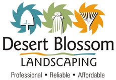 Desert Blossom Landscaping, LLC