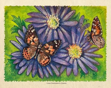 Painted Ladies & Purple Asters, Watercolor and Pen