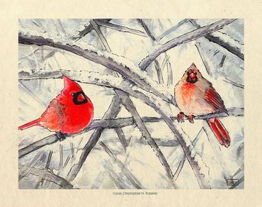 Pair of Cardinals in Winter, watercolor and pen