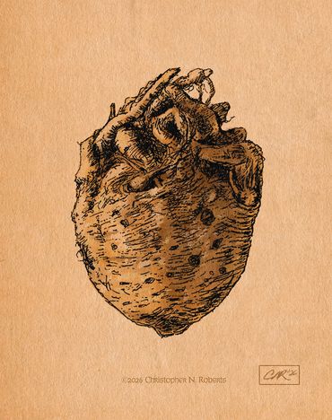 Celery heart, Pen with digital color