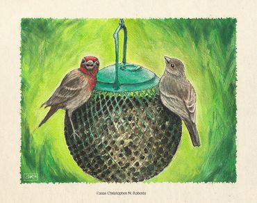 Finches on Feeder, Gouache with Pen