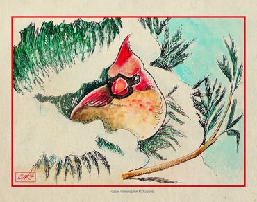 Female Cardinal in Winter Pine Tree, Watercolor & Pen