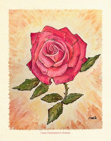 Santa Fe Rose, gouache and pen