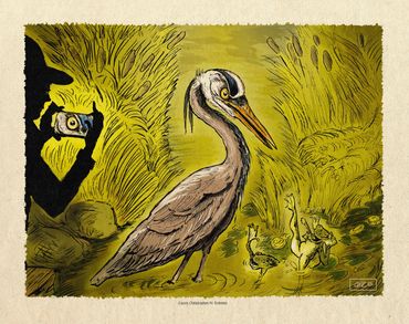 Heron & Frog Hunt, pen & ink and digital color