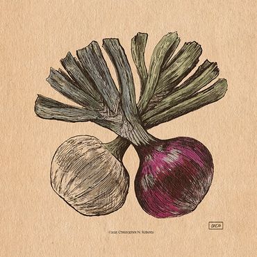Pair of Onions, pen & ink and digital color