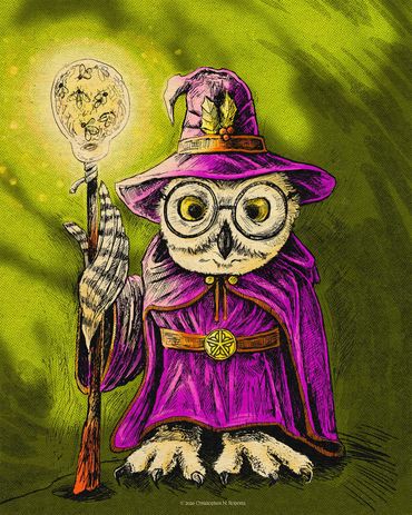 Wizard Snowy Owl - Pen & Ink with digital color