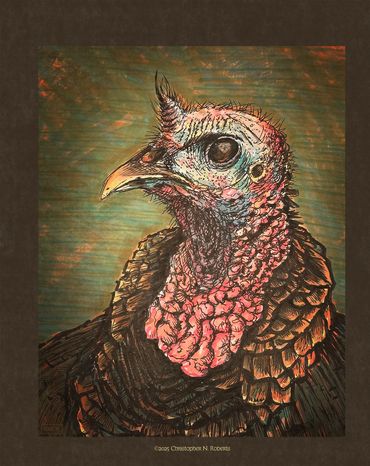 Tom Turkey Portrait, Pen and Marker