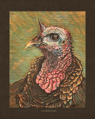 Tom Turkey portrait, pen & ink and marker