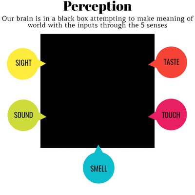 Diagram showing brain processing inputs from the five senses: sight, sound, smell, taste, and touch.