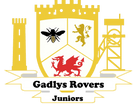 Gadlys Rovers Juniors FC