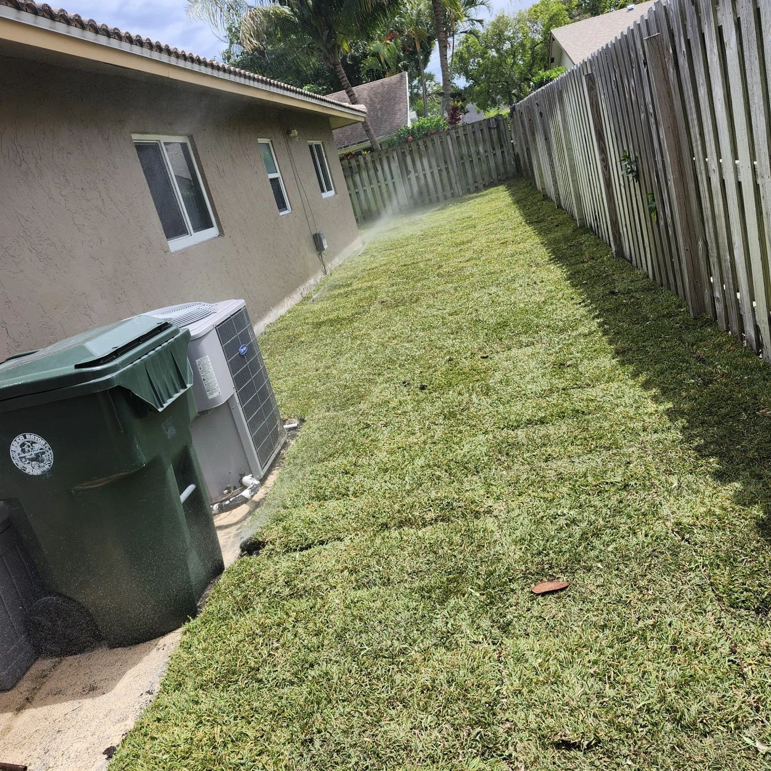Newly installed fresh grass/sod