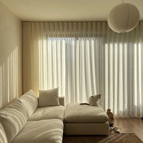 living room curtains with sunlight shining through