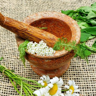 Yarrow - Elderflower - Ox-eye daisies - Blue Fox Botanicals LLC