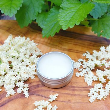 Plant-based lip balm - Blue Fox Botanicals LLC