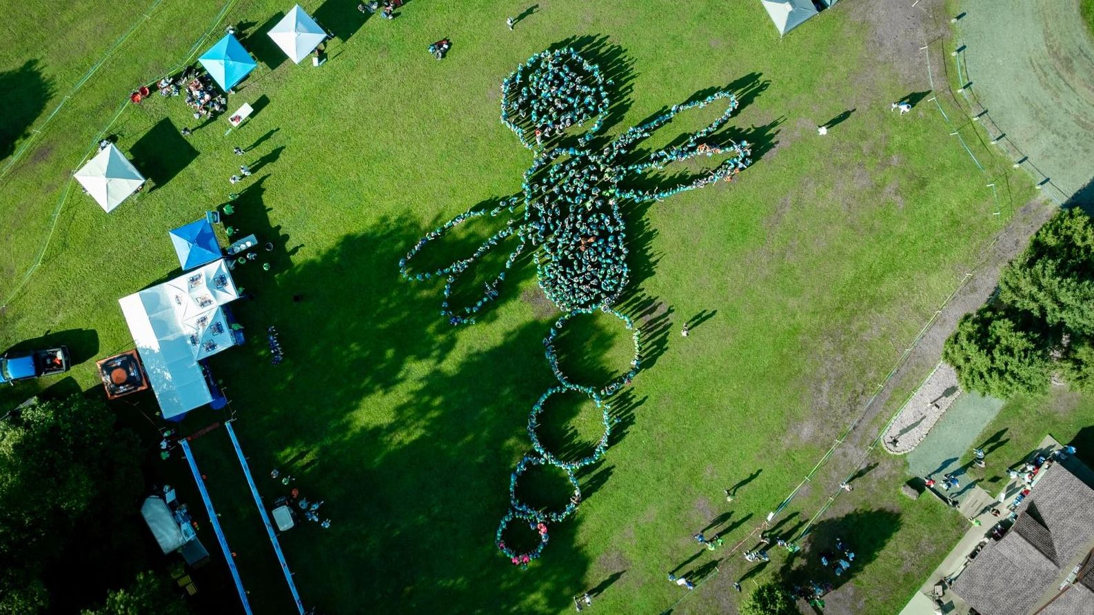 Drone photo of a group of Race4Chase Athletes and Coaches in the shape of a dragonfly
