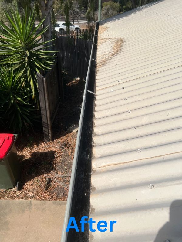 Clean roof gutters
