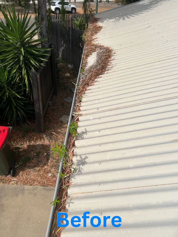 dirty roof gutters