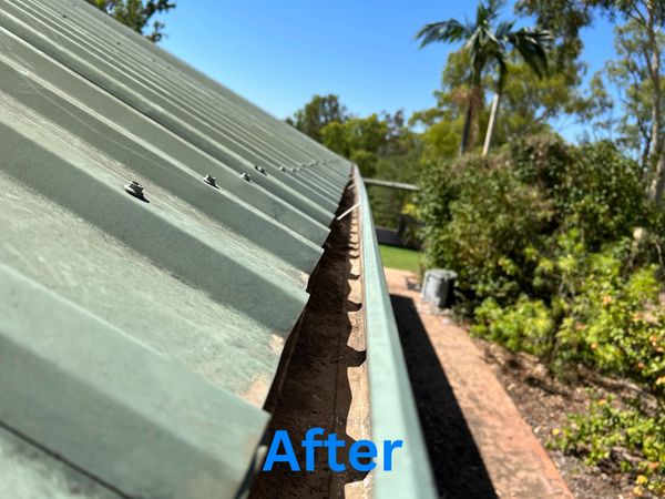 Clean roof gutters