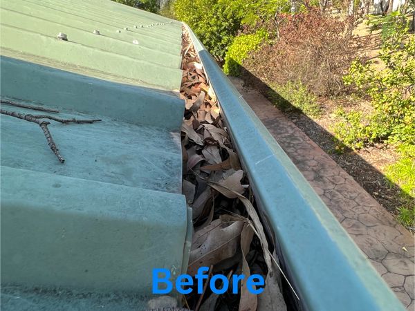 Dirty Roof Gutters