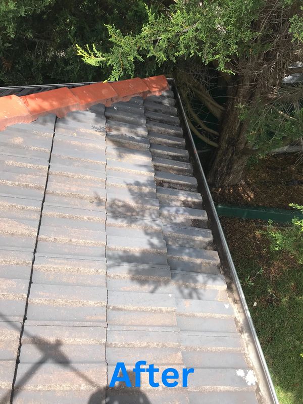 clean roof gutters