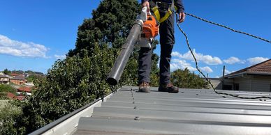 Residential gutter cleaning