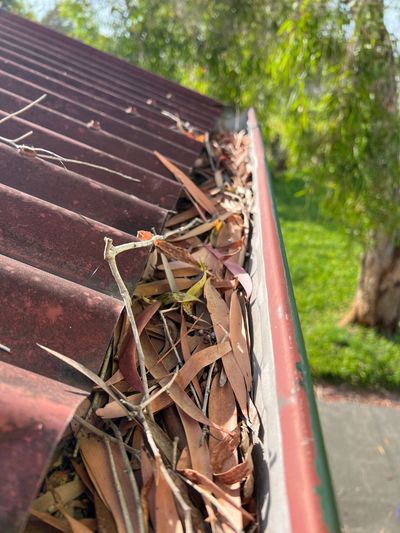 before using our professional gutter cleaning services