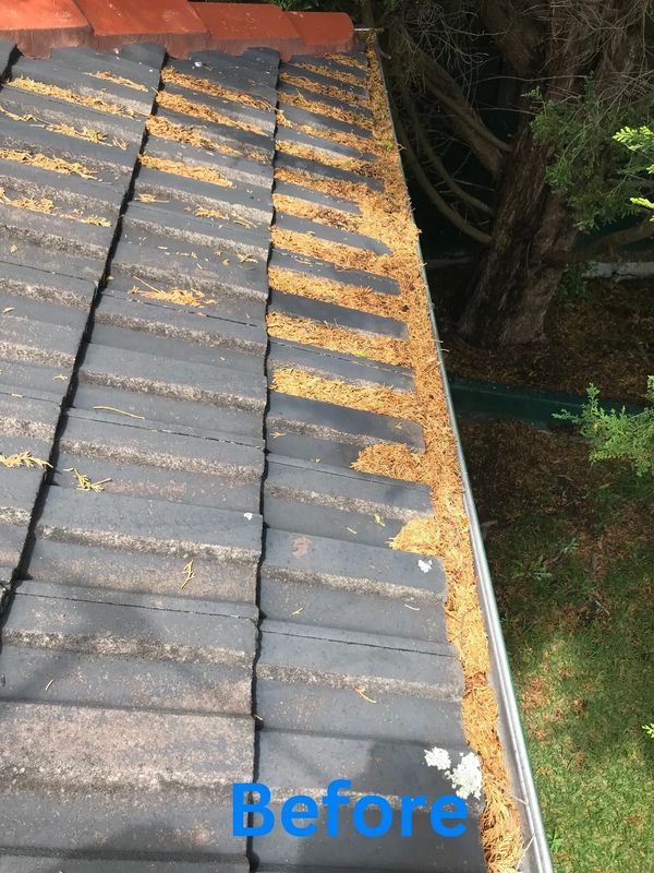 Dirty roof gutters