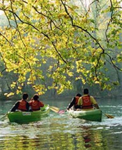 activités familiales Vaucluse