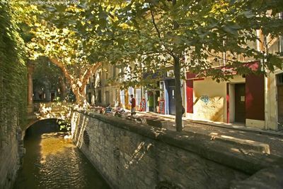 activités Avignon Teinturiers