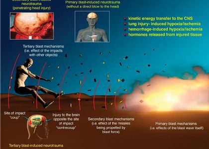 A complete picture of blast impacts.