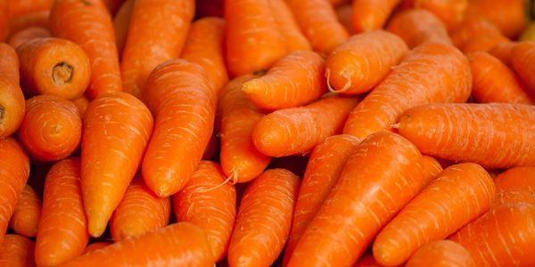 Un tas de carottes.