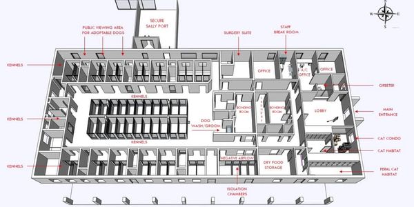 Floor plan of an animal shelter with kennels, cat habitats, and various rooms.