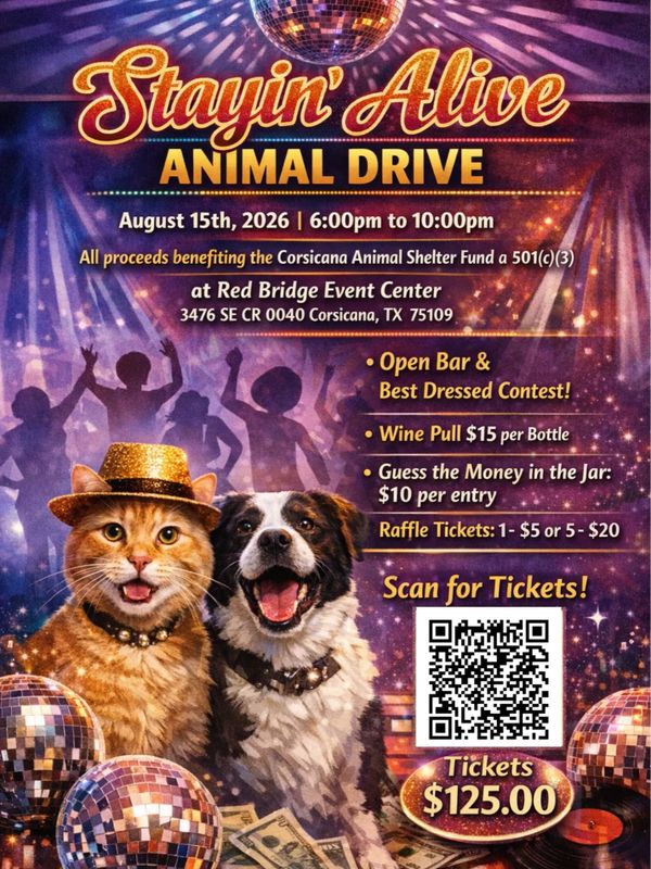 Charity event poster featuring a cat and dog with disco balls and event details.