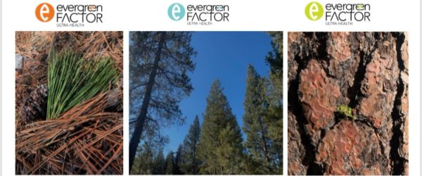 Evergreen Factor wellness team providing personalized care in Lake Oswego, Oregon