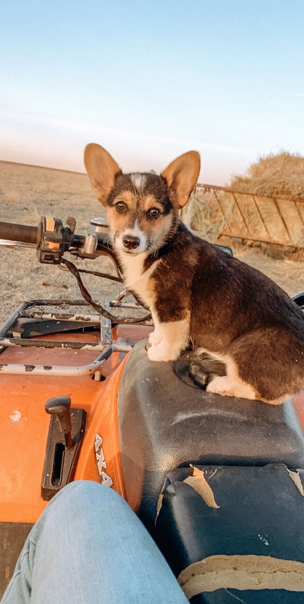 Riding on the four wheeler