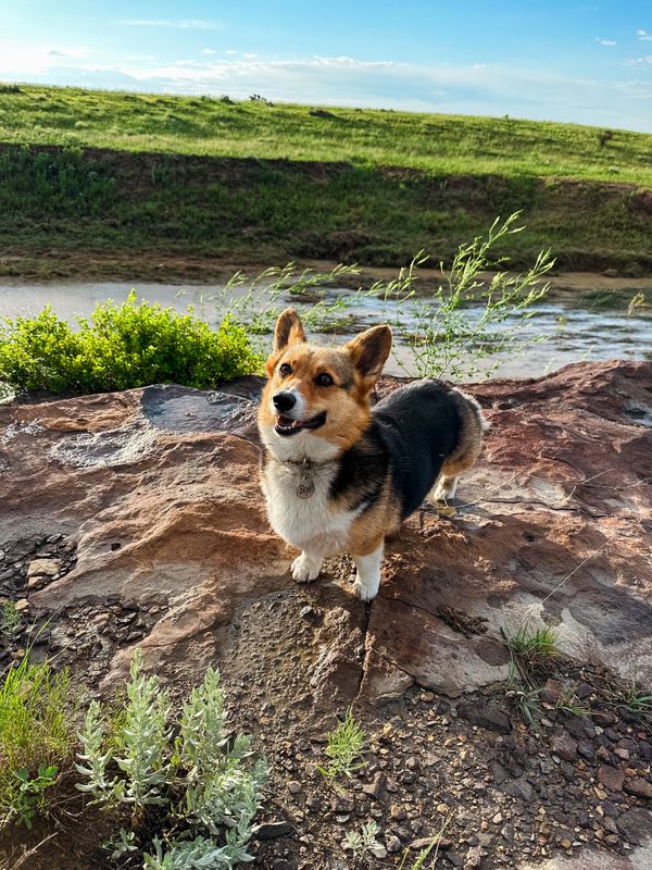 Green Grass and Skye