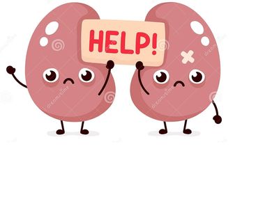 Any abnormality in the kidney function persisting more than 3 months is not expected to reverse.