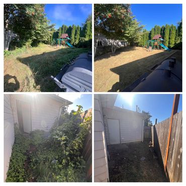 Before and After photos of a project