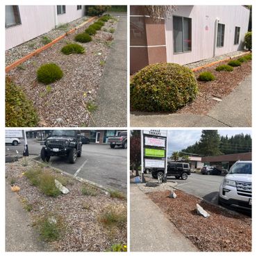 Before and After photos of a project