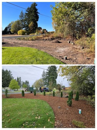 Before and After photos of a landscaping project