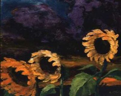Sunflowers in the Windstorm